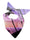 Sublimation blank pet bandana