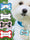 Double-Sided Pet Tag Sublimation Blanks – Available in Blue, Pink, Red, Black Sublimation